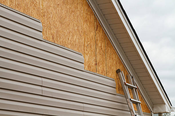 Best Steel Siding Installation  in Wtell, LA